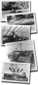 WM Bos History